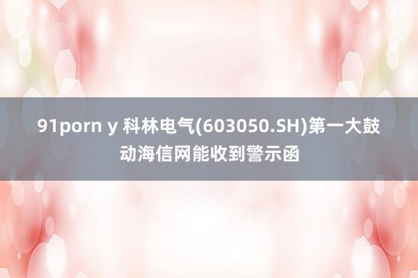 91porn y 科林电气(603050.SH)第一大鼓动海信网能收到警示函