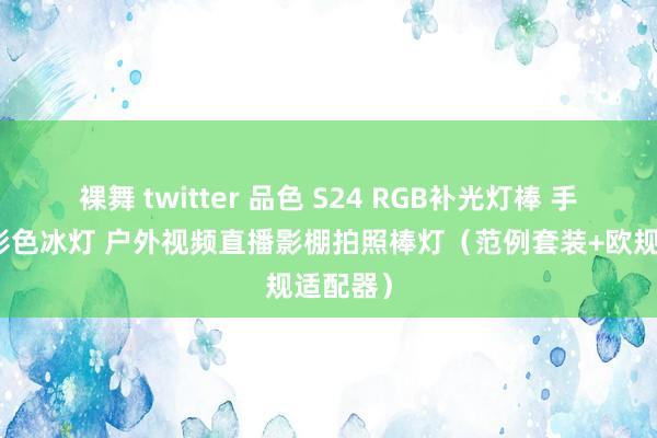 裸舞 twitter 品色 S24 RGB补光灯棒 手捏便携彩色冰灯 户外视频直播影棚拍照棒灯（范例套装+欧规适配器）