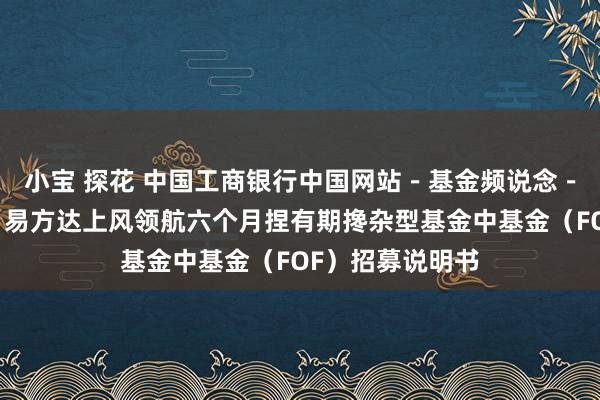 小宝 探花 中国工商银行中国网站－基金频说念－基金公告栏目－易方达上风领航六个月捏有期搀杂型基金中基金（FOF）招募说明书